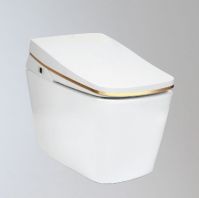 Integrated Toilet - Tankless Electronic Bidet