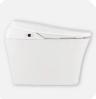 Integrated Toilet - Tankless Electronic Bidet
