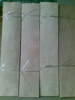 Skateboard Maple Veneer