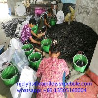 China Black Polished Pebble Stone Tile