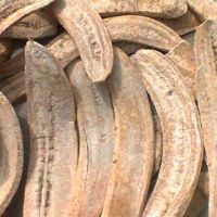 Dry Plantain (genus Musa)