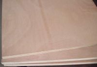 okoume plywood