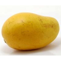 Chaunsa Mango