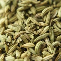 Fennel Seeds