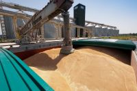 Wheat, barley, corn from Russia. 