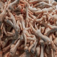 Premium Halal Whole Chicken, Feet , Frozen Chicken Paws &amp; Fresh chicken legs Best sale/Neck fresh offer 