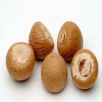 Betel Nut / Whole And Split Betel Nuts In Bulk Best Grade Wholesale