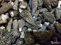Conic morels (dried)
