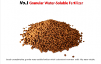 Orgainc Lawn Fertilizante Near Me Cocoly Granular Water Soluble Fertilizer