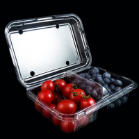 Vacuum Formed Blister Packaging Small Clear Rectangular Plastic Clamshell Box for Fruit Storage