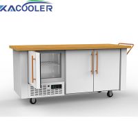 Mobile Fridge Freezer Refrigerator 12V/24V