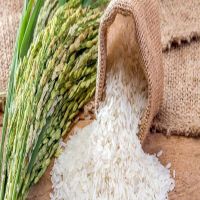 basmati rice price in thailand 