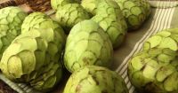 Soursop Fruit, Graviola And Cherimoya Fruit
