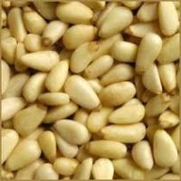 Eggplant Seeds/Forage Seeds/Bamboo Seeds
