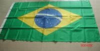 National Flag