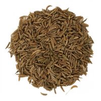 Caraway Seeds/Dried Caraway Seeds/Natural