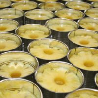 Fresh Canned Fruit Pineapple Canned/Canned