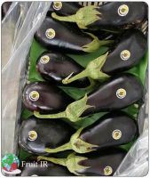 Top Iranian Eggplant (Long Eggplant, Round