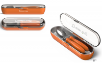Spoon And Fork With Case