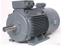 Variable Frequency Drive VFD Motor 3