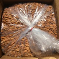 Organic Apricot Kernel Agriculture Nuts &amp; Kernels Apricot Kernels 