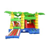 Inflatable Bouncing House Backyard Inflatable Jumping