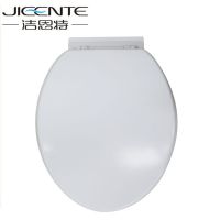 Bathroom Toilet Bowl Cover