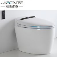 Electric Toilet For Bathroom With Heating