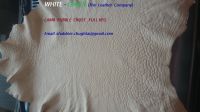 LAMB / SHEEP BUBBLE SKINS