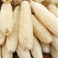 Organic Loofah Bath Sponge