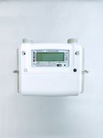 Ultrasonic Home Smart Gas Meter / Internet