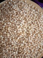 Wholesale Premium Grade In Bulk Roasted Peeled organic Macademia Nuts