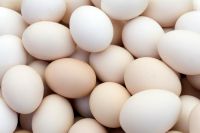 WHITE EGGS FOR SALE