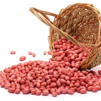 Organic Peanuts Premium Grade Kernels Fresh And Roasted Snack Blanched Peanuts Dried And Roasted Style
