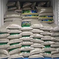 New Crop Mung Bean Seed Nice Price Green Mung Bean Vigna Beans