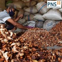 Forastero Roasted Cacao Beans Premium Processing Type Product