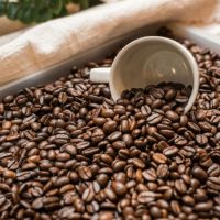 Raw Coffee Bean High Quality Beans