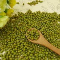 Health 100% Nature Organic Myanmar Green Mung Bean for Food