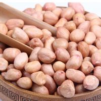 Wholesale Natural Organic Premium Grade Roasted Blanched Peanuts Bulk Peanut Blanched Split Laser Sorting Peanuts Nuts & Kernels