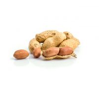 Peanut Raw Organic peanuts Ground Nut in Shell Roasted Peanut in Shell