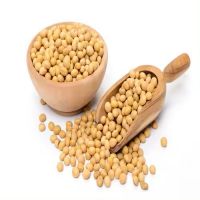 Large Wholesale Good Quality Soy Beans Raw Soybean Grain in Bags Organic Bulk Soybean Seeds