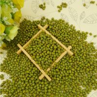 High Quality and Low-priced Mung Bean Vacuum Packaging