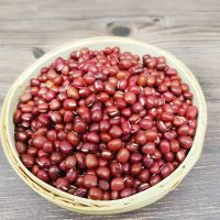 Wholesales Adzuki Beans Bamboo Beans Export Grade Cowpea Small Red Adzuki Beans For Sale