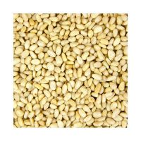High Quality Organic Pine Nuts Kernel