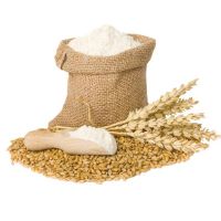 Premium Quality Organic Wheat Grains Flour Bulk Stock At Wholesale Cheap Price