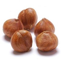 Fresh Hazelnuts/Hazel Nuts From Brazil