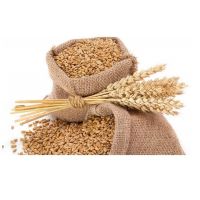 Wheat Bran For Animal Feed Poultry