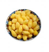 Hot Sales Wholesale Best Price Dried
