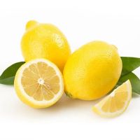 Organic Seedless Yellow Lemon from New Crop Fresh Citrus Fruit Chinese Organic Lime