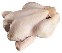 Top Selling Premium Halal Frozen Whole